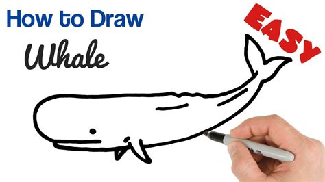 How To Draw A Whale Step By Step For Kids