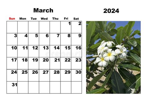 March 2024 Calendar Flowers - Florri Kaleena