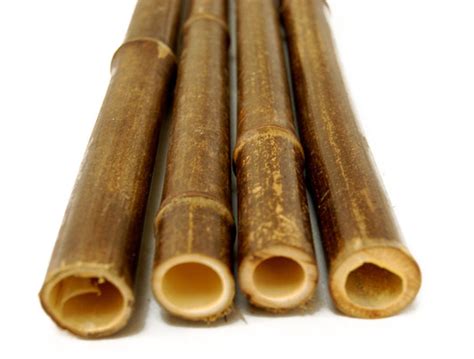 10' Bamboo Poles For Sale Online | Forever Bamboo