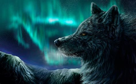 10 Latest Cool Wolf Backgrounds Light FULL HD 1920×1080 For PC Background 2023