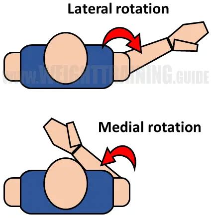 Joint articulations and the three planes of motion - Muscle Activation Guide