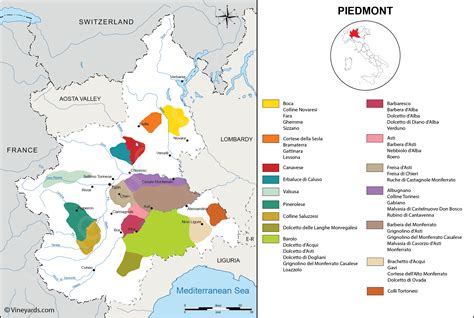 Wine Regions in Piedmont | Wine map, Wine region, Italian wine