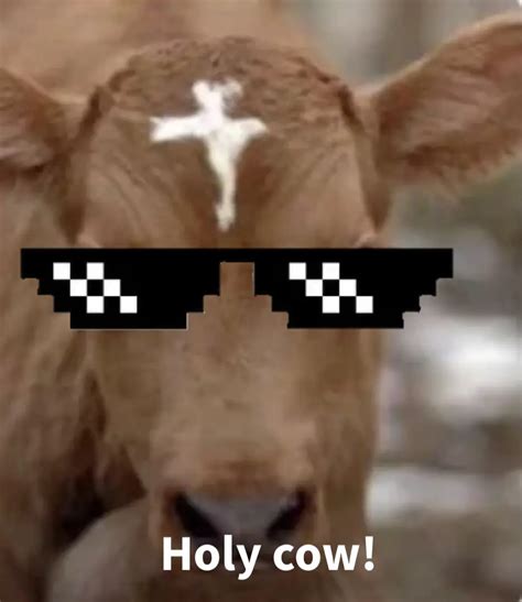 Holy Cow Meme Generator - Piñata Farms - The best meme generator and ...