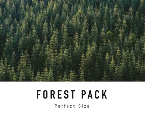 Forest Zoom Background Pack 5 Nature Virtual Background Images for Zoom Meetings - Etsy