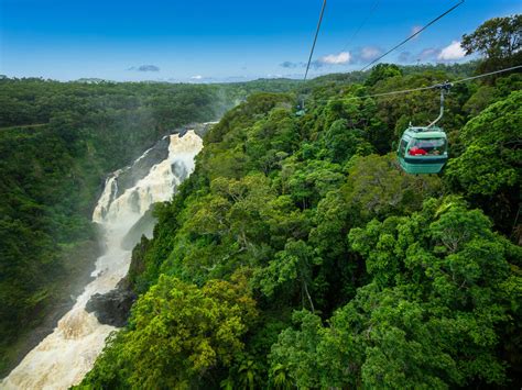 Explore Ancient Tropical Rainforest | Skyrail