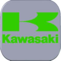 Kawasaki Ninja 300