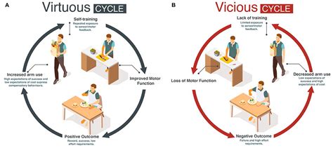 Frontiers | Virtuous and Vicious Cycles of Arm Use and Function Post-stroke