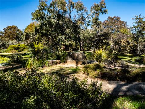 UC Santa Cruz Arboretum & Botanic Garden