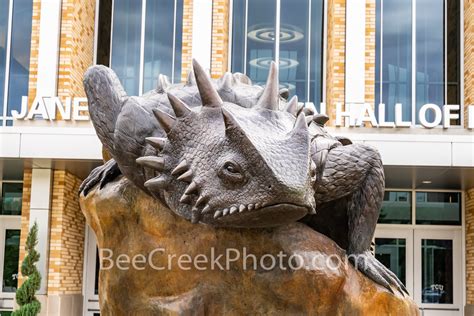 TCU Horned Frog Mascot 2