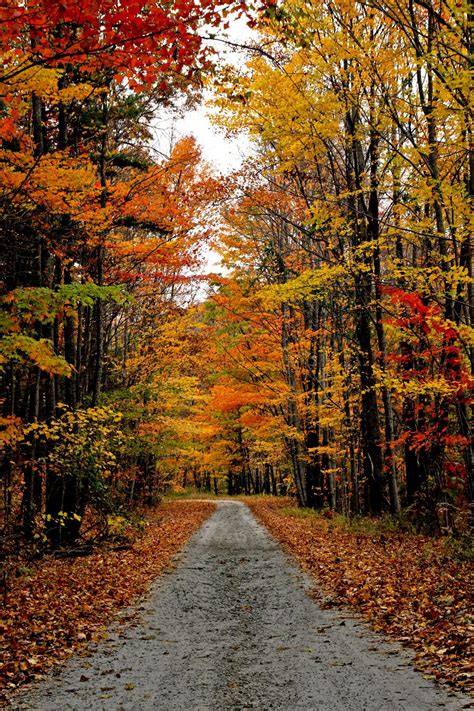 Country road by Nexsi Castillo / 500px | Autumn scenery, Autumn landscape, Beautiful photos of ...