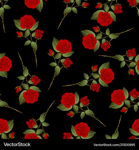 Red rose bouquet on black background Royalty Free Vector