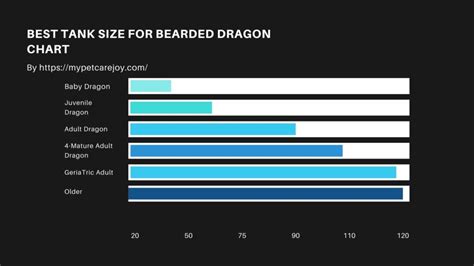 How to Pick the Best tank Size For Your Bearded Dragon [Chart]? | MyPetCareJoy