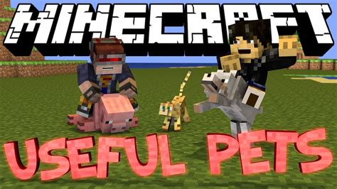 Minecraft Mod Showcase : Useful Pets Mod (Battle Pets) - YouTube