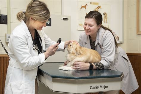 Department of Clinical Sciences and Animal Health Center | Vet Med