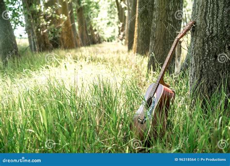 Guitar in nature stock photo. Image of foliage, forest - 96318564