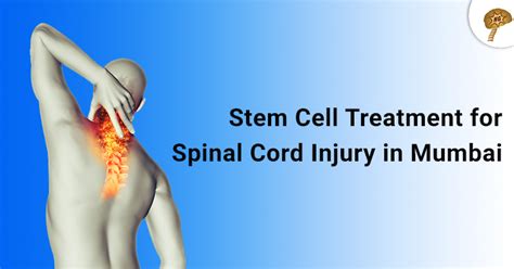 Stem Cell Treatment for Spinal Cord Injury in Mumbai - Neurogen BSI