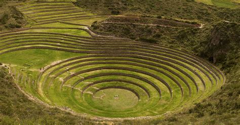 Inca Agricultural Terracing (Illustration) - World History Encyclopedia