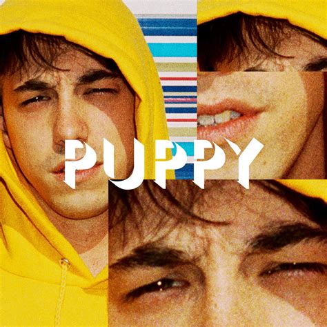 New Brockhampton Album Puppy Out In June