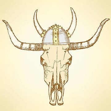 Sketch Texas Longhorn Steer Colorful Medieval Longhorn Vector, Colorful ...