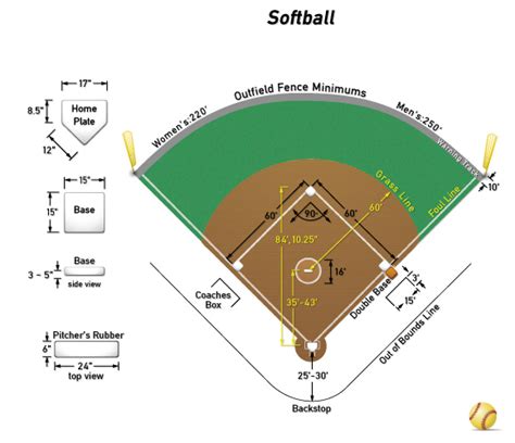 Softball vs. Baseball: 6 Differences Answering ‘Which Is Harder?’ | Fanbuzz