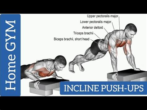 How To Incline Push Ups | Incline Push-Ups Benefits | Push-Ups | Home GYM @OmPrakashSoniVlogs ...