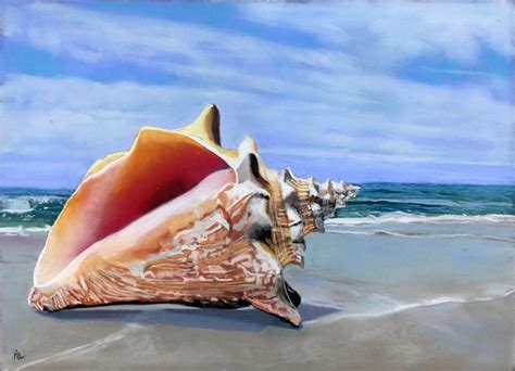 [5800+] Art Wallpapers | Wallpapers.com | Sea shell art prints, Sea ...