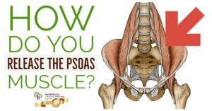 How Do You Release The Psoas Muscle?