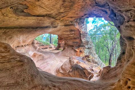 Exploring Pilliga Forest: Sandstone Caves and Sculptures in the Scrub in 2021 | Wilderness ...