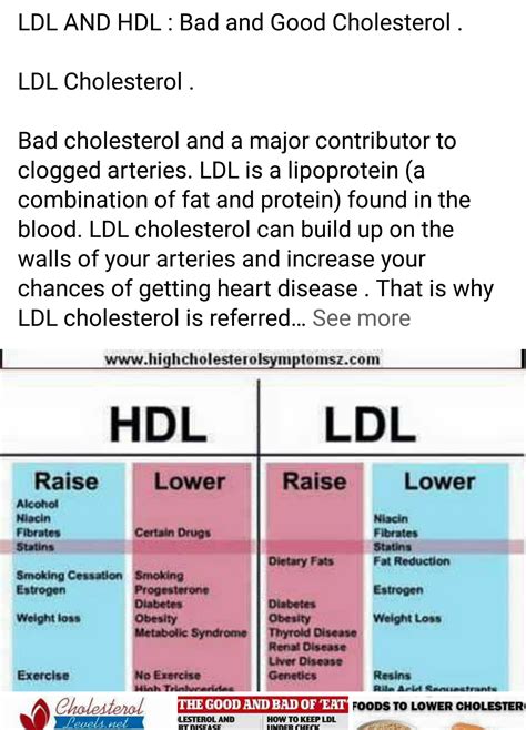 Hdl And Ldl Cholesterol Levels