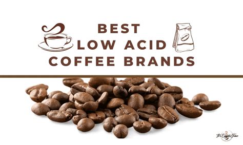 Best Low Acid Coffee Brands: Top Picks Tasted & Reviewed