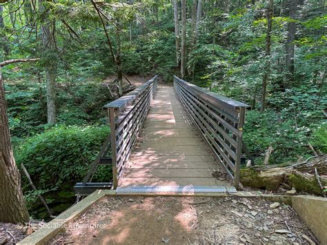 Grandfather Mountain State Park - The Sociable Adventurer