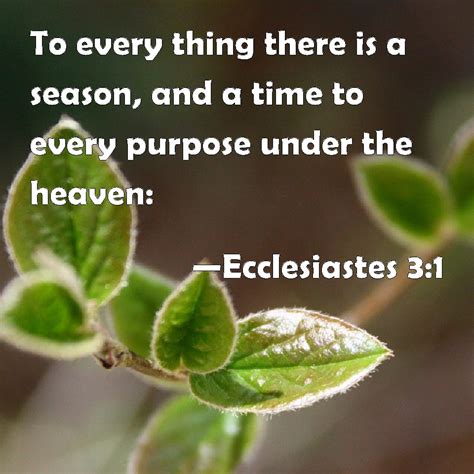 Ecclesiastes 3:1 To every thing there is a season, and a time to every purpose under the heaven: