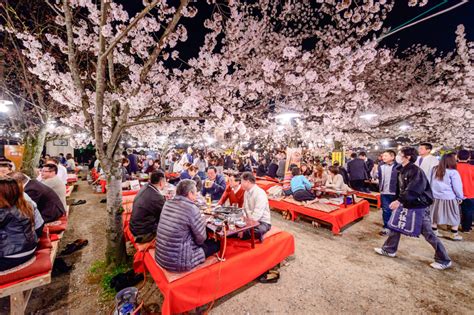 2018 Cherry Blossoms Are Early but You Can Still Do Last-Minute Hanami ...