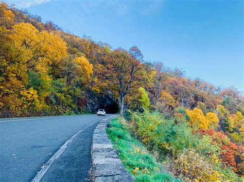 5 Ways to Enjoy Fall Foliage in Shenandoah National Park