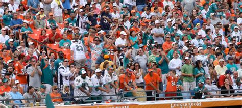 How One Startup Made a Miami Dolphins Fan’s Dream Come True | BizTech ...