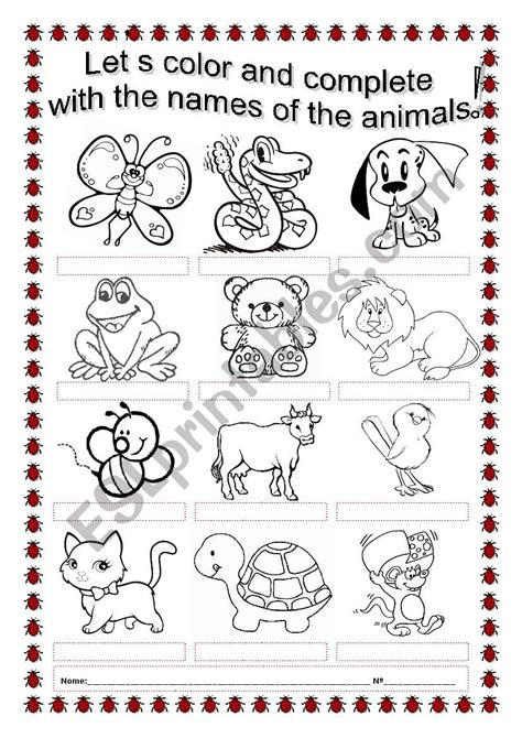 Learning Is Fun Awesome Coloring Cool Animals