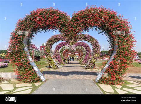 Heart shaped arches covered in flowers at Dubai's Miracle Garden ...