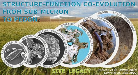 From parent rocks to soil: Co-evolution of structure and function during pedogenesis ...