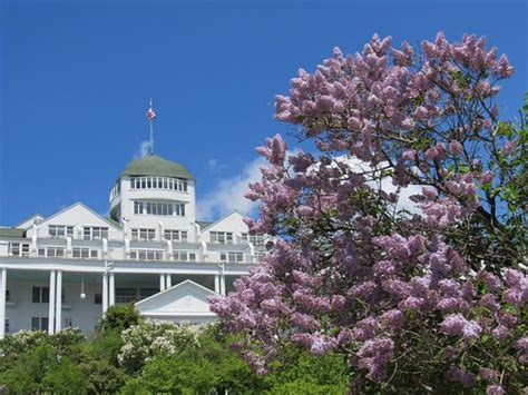 Mackinac Island Lilac Festival – June 7 – 16, 2024 - News Up North, Michigan