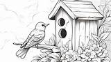 Colouring Pictures With Birdhouse And Bird Vector Page For Printable  sketch template