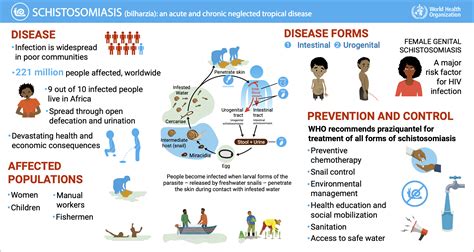 Schistosomiasis (Bilharzia)