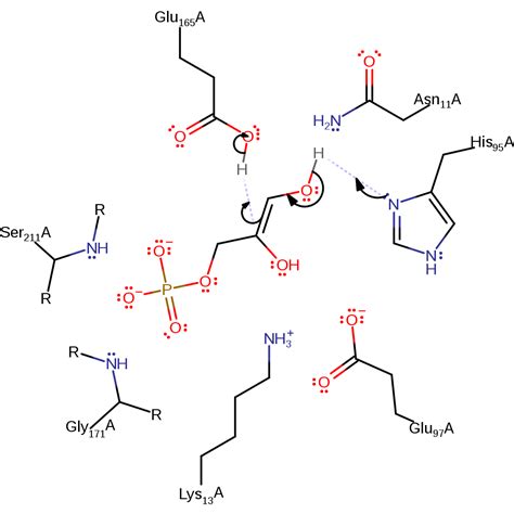 M-CSA Mechanism and Catalytic Site Atlas