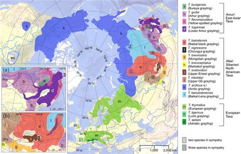 Map showing the global distribution range of Thymallus species.... | Download Scientific Diagram