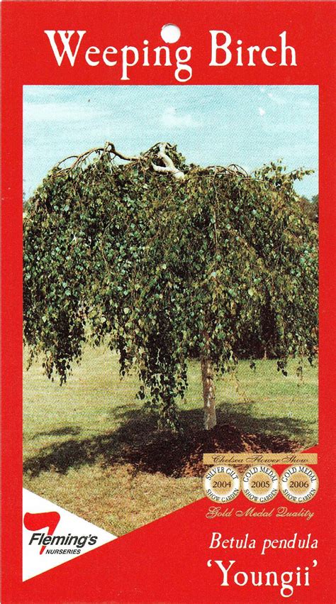 Weeping Trees | Ballarat Nursery