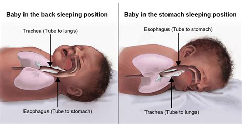 Safe Sleep for Babies | Baystate Health