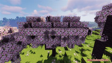 Better Cherry Tree Resource Pack (1.20.6, 1.20.1) - Texture Pack ...