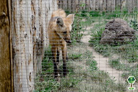 Zoo Boise | Experience Boise | Totally Boise