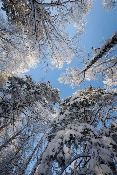 Jeju Island | Winter pictures, Winter scenery, Winter photos