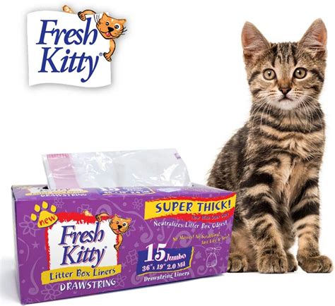 Best Cat Litter Box Liners Recommendation