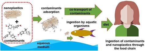 Pollution caused by nanoplastics: adverse effects and mechanisms of ...